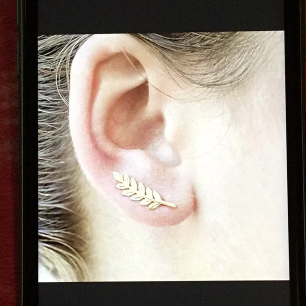 Gold Leaf Vine Earclimber Stud Earrings Trendy